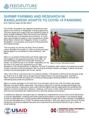 Shrimp farming and research in Bangladesh adapts to COVID-19 pandemic