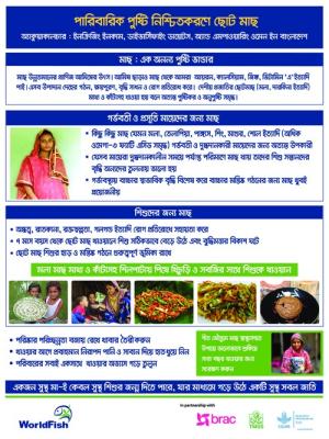 Nutrition Festoon 2