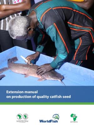Extension manual on production of quality catfish seed