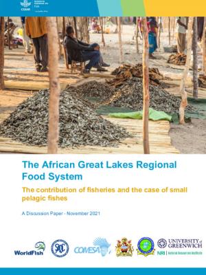 The African Great Lakes Regional Food System; the contribution of fisheries and the case of small pelagic fishes. A Discussion Paper
