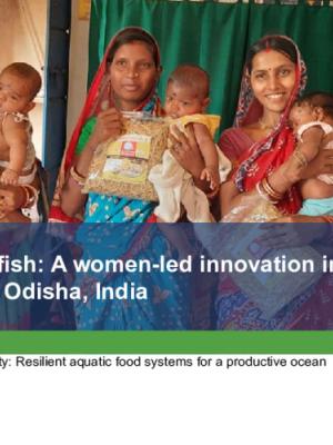 Solar-dried small fish: A women-led innovation in the coastal fishing villages of Odisha, India