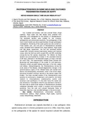 Photobacteriosis in some wild and cultured freshwater fishes in Egypt