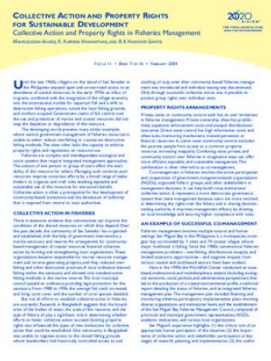 Collective action and property rights in fisheries management