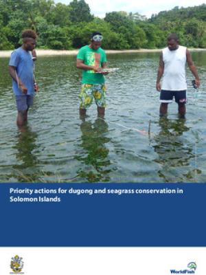 Priority actions for dugong and seagrass conservation in Solomon Islands
