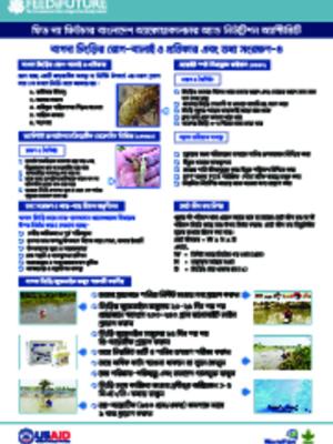 Festoon on salt water shrimp production 4