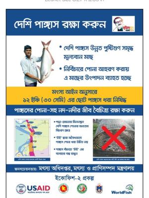 Catfish (Pangas) conservation