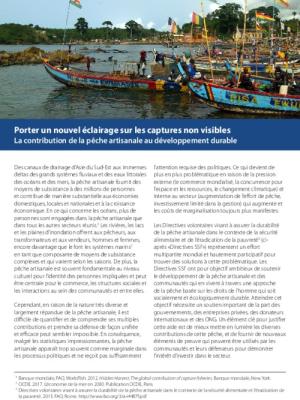 Porter un nouvel éclairage sur les captures non visibles: La contribution de la pêche artisanale au développement durable
