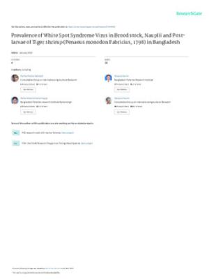 Prevalence of White Spot Syndrome Virus in brood stock, Nauplii and Post-larvae of Tiger shrimp (Penaeus monodon Fabricius, 1798) in Bangladesh