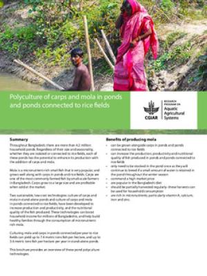 Polyculture of carps and mola in ponds and ponds connected to rice fields