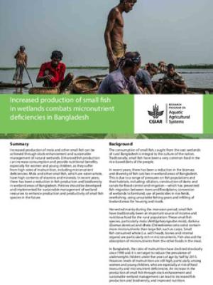 Increased production of small fish in wetlands combats micronutrient deficiencies in Bangladesh