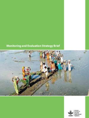 Monitoring and evaluations strategy brief