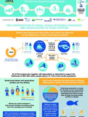The contribution of small-scale artisanal fisheries and aquaculture to food systems