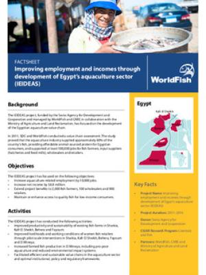 Improving employment and incomes through development of Egypt's aquaculture sector (IEIDEAS)