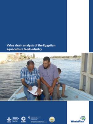 Value chain analysis of the Egyptian aquaculture feed industry