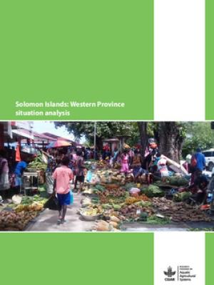 Solomon Islands: Western Province situation analysis