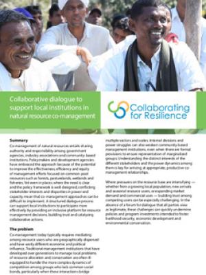 Collaborative dialogue to support local institutions in natural resource co-management