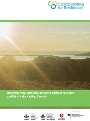 Strengthening collective action to address resource conflict in Lake Kariba, Zambia