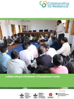 Collaborating for Resilience: A practitioner's guide