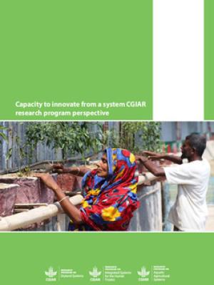 Capacity to innovate from a system CGIAR research program perspective