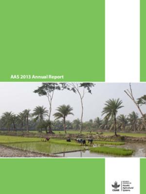 AAS 2013 Annual report