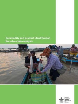 Commodity and product identification for value chain analysis
