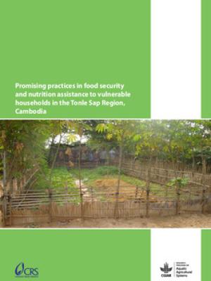 Promising practices in food security and nutrition assistance to vulnerable households in the Tonle Sap Region, Cambodia