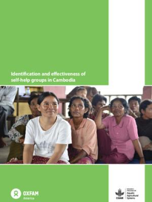 Identification and effectiveness of self-help groups in Cambodia