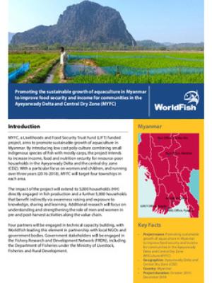 Promoting the sustainable growth of aquaculture in Myanmar to improve food Security and income for communities in the Ayeyarwady Delta and Central Dry Zone (MYFC)