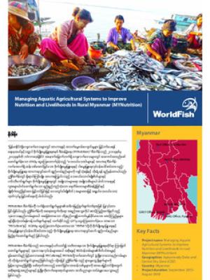 Managing Aquatic Agricultural Systems to improve nutrition and livelihoods in rural Myanmar (MYNutrition) [Burmese version]