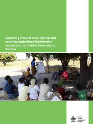 Capturing views of men, women and youth on agricultural biodiversity resources consumed in Barotseland, Zambia