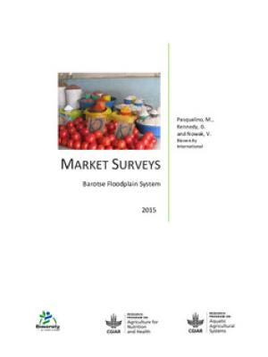 Market surveys: Barotse floodplain system