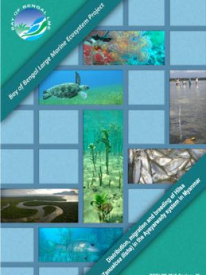 Distribution, migrations and breeding of Hilsa (Tenualosa ilisha) in the Ayeyarwady system in Myanmar
