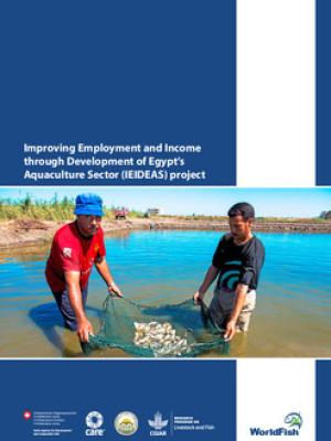 Improving Employment and Income through Development of Egypt's Aquaculture Sector (IEIDEAS) project