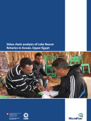 Value chain analysis of Lake Nasser fisheries in Aswan, Upper Egypt