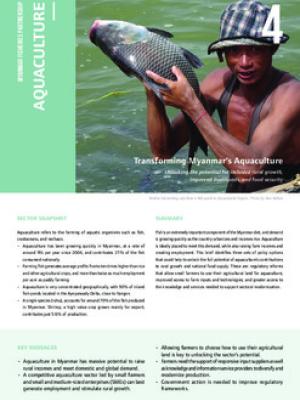 Myanmar fisheries: Aquaculture
