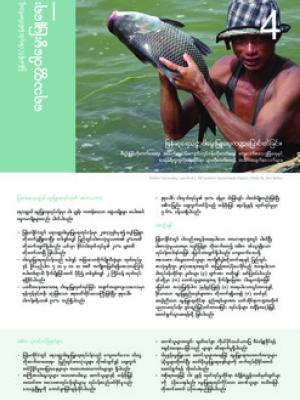 Myanmar fisheries: Aquaculture (Burmese version)