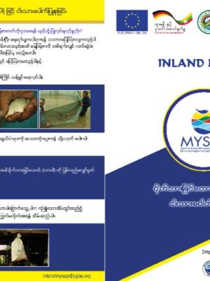 Nursing fish seed in hapas (Burmese version)