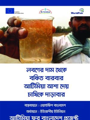 Festoon (Artemia 02) for Training and Workshops of Artemia4Bangladesh project