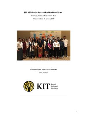 SAIL NM Gender Integration Workshop Report