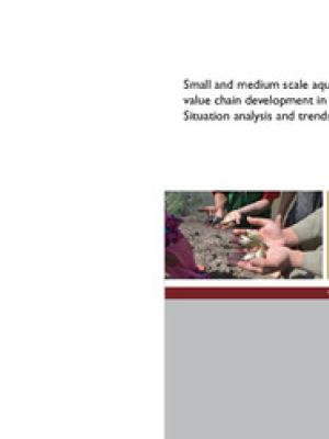 Small and medium scale aquaculture value chain development in Egypt: Situation analysis and trends