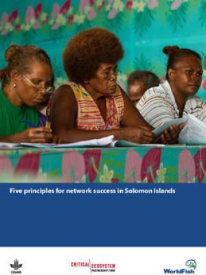 Five principles for network success in Solomon Islands