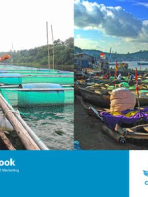 FISH Brand Book Version 1