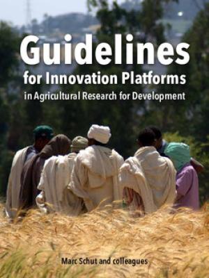 Guidelines for Innovation Platforms in Agricultural Research for Development. Decision support for research, development and funding agencies on how to design, budget and implement impactful Innovation Platforms