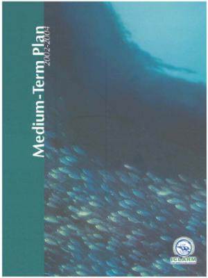 Medium term plan 2002 - 2004