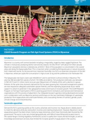 CGIAR Research Program on Fish Agri-Food-Systems (FISH) in Myanmar