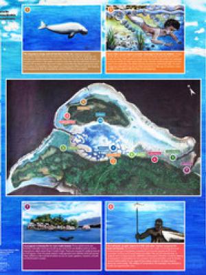 Safeguarding seagrass poster