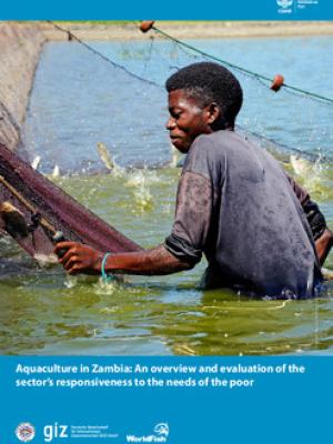 Aquaculture in Zambia: An overview and evaluation of the sector's responsiveness to the needs of the poor