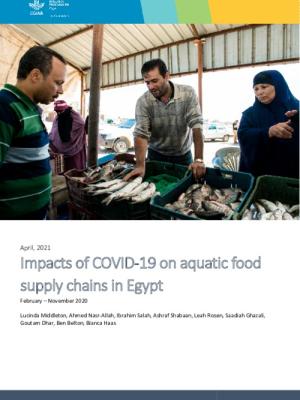 Impacts of COVID-19 on aquatic food supply chains in Egypt  February – November 2020