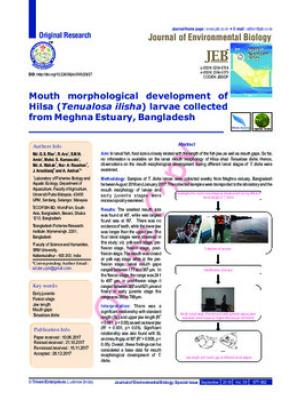 Mouth morphological development of Hilsa (Tenualosa ilisha) larvae collected from Meghna Estuary, Bangladesh