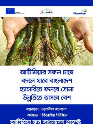 Festoon (Artemia 06) for Training and Workshops of Artemia4Bangladesh project